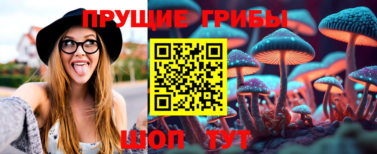 Галлюциногенные грибы ЛСД Карасук