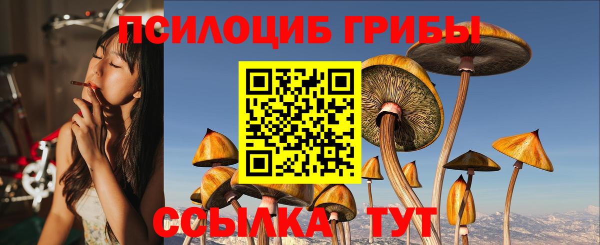 Бошки Шишки Карасук