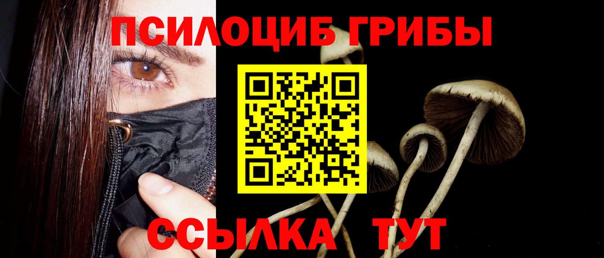 Псилоцибиновые грибы MAGIC MUSHROOMS  Вход с VPN  Карасук 