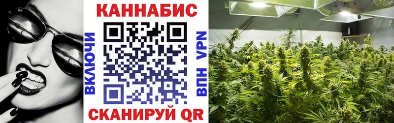 Марихуана THC 21%  Карасук 